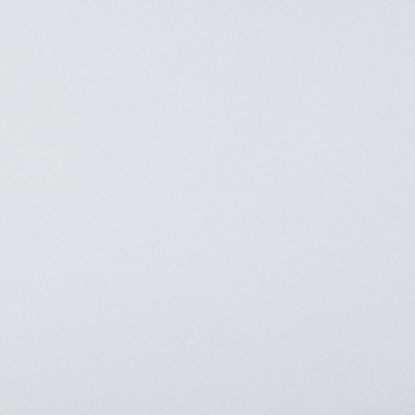 Arctic White