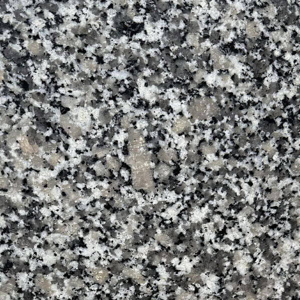 Bianco-Sardo-2024