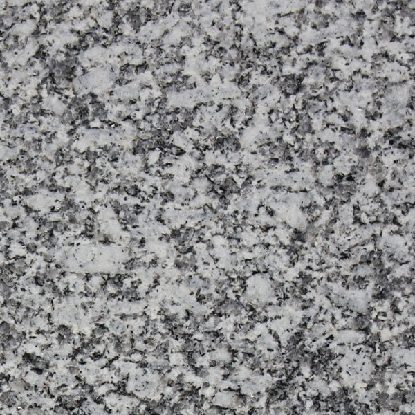 Gris-Tragal