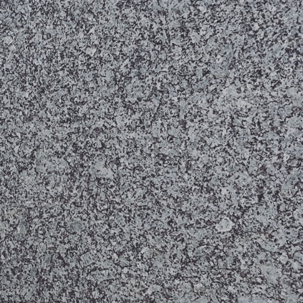 Gris Tragal